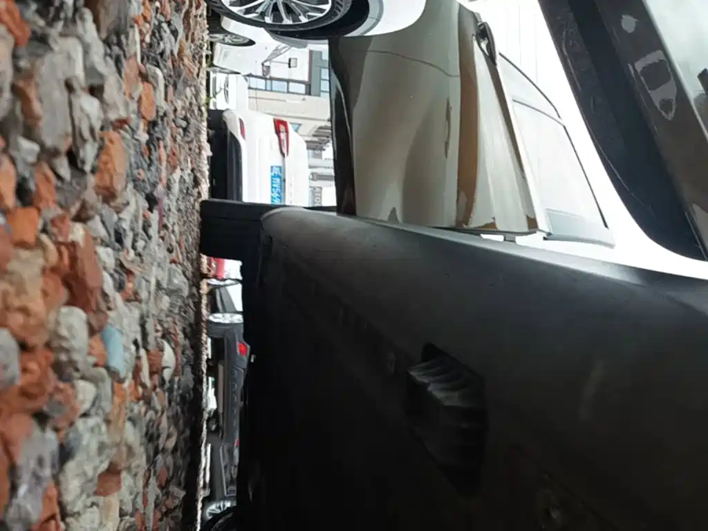 BMW X1 — миниатюра 21