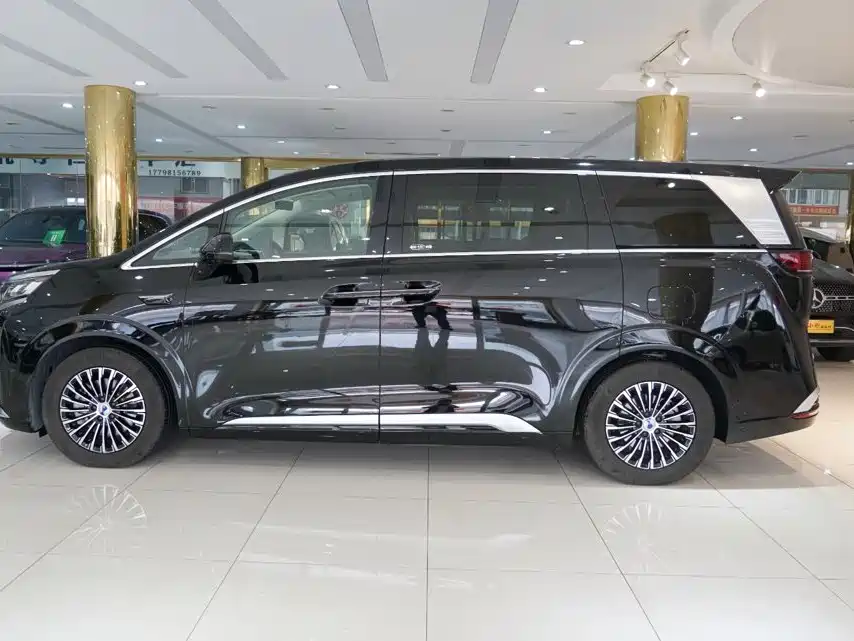 Denza Denza D9 — миниатюра 16