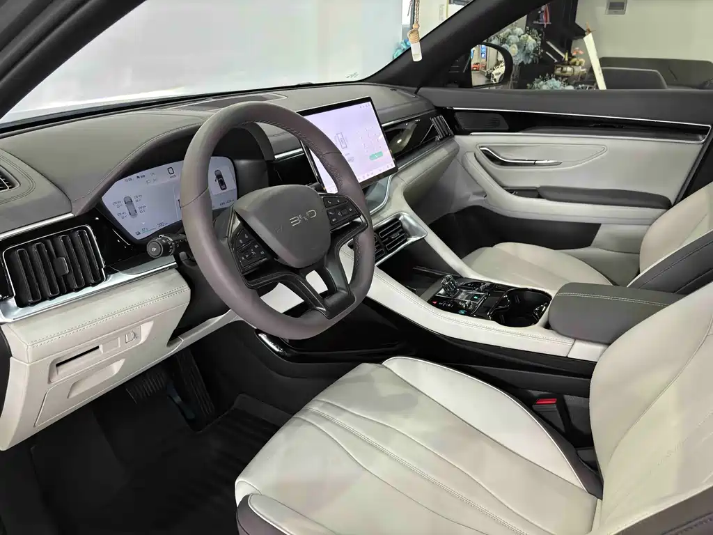 BYD PLUS New Energy — миниатюра 16