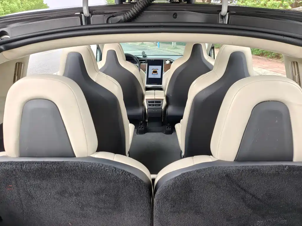 Tesla Model X — миниатюра 9