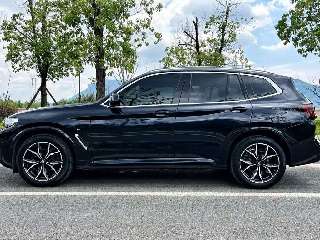 BMW X3 — миниатюра 3