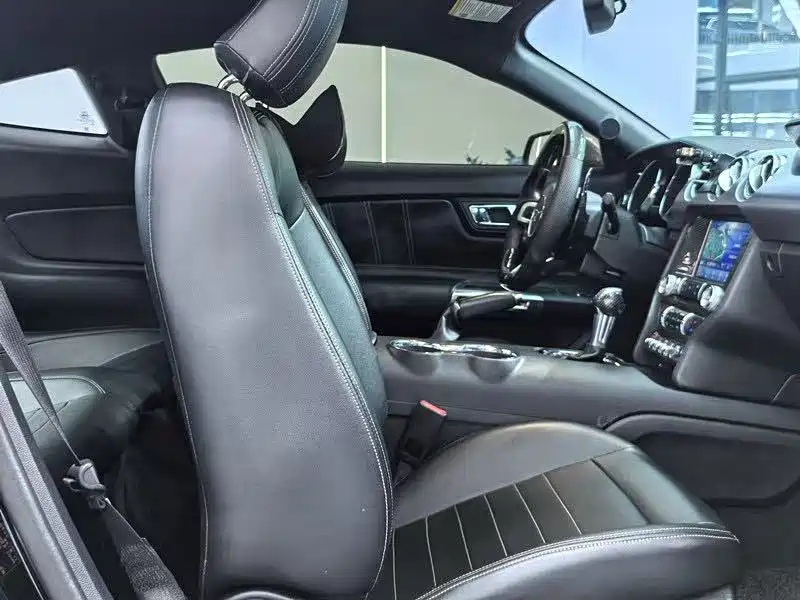 Ford Mustang — миниатюра 12