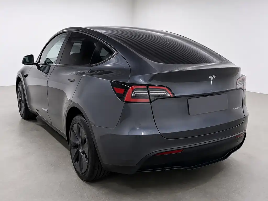 Tesla Model Y — миниатюра 4