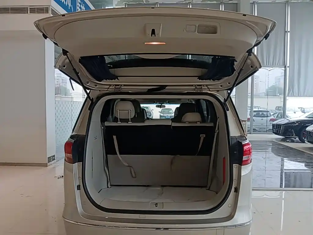 Buick GL8 — миниатюра 19