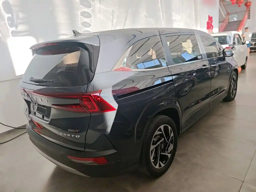 Hyundai Custo — миниатюра 7