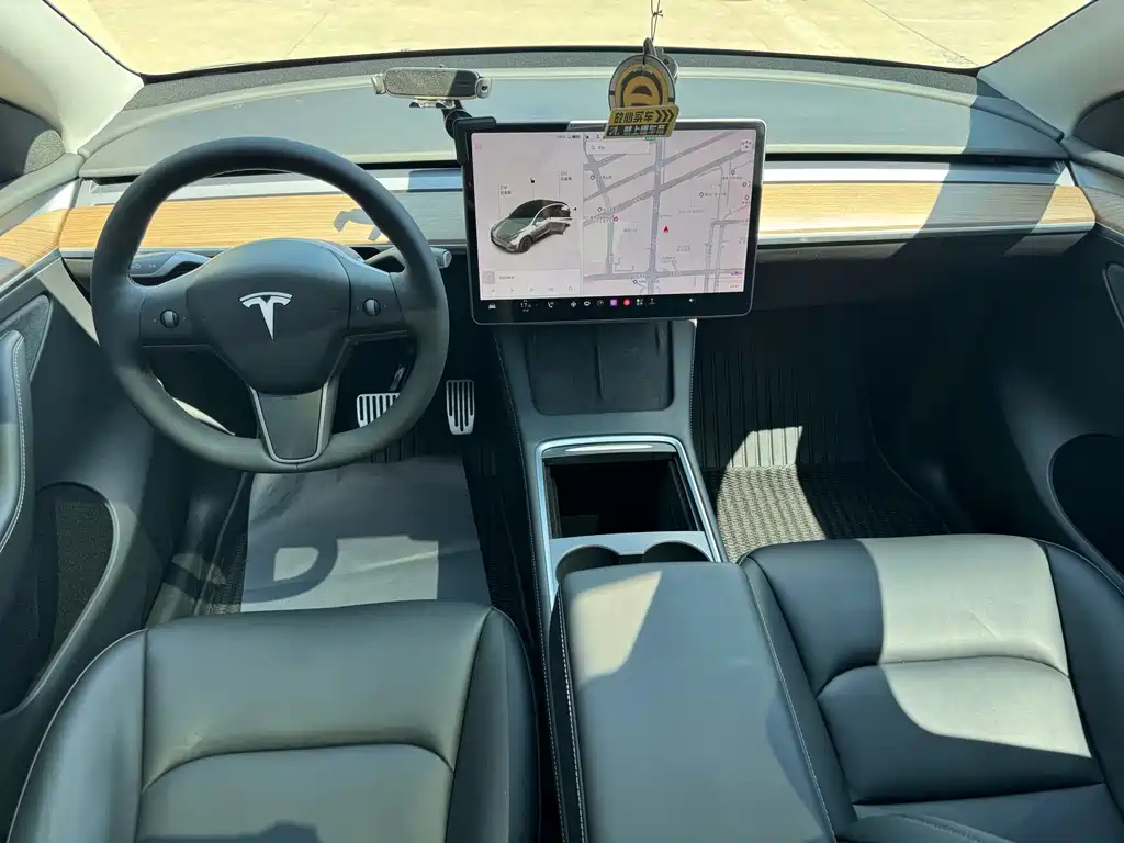 Tesla Model Y — миниатюра 10