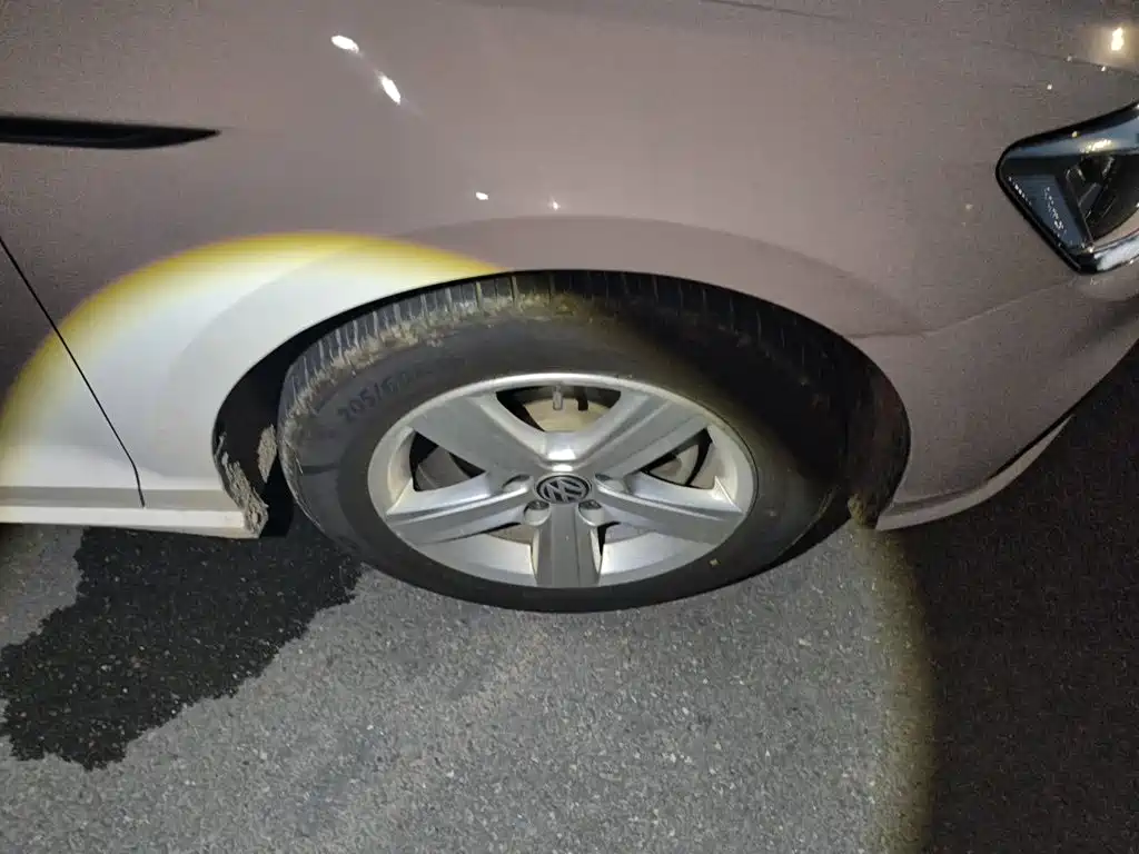 Volkswagen Lamando — миниатюра 8