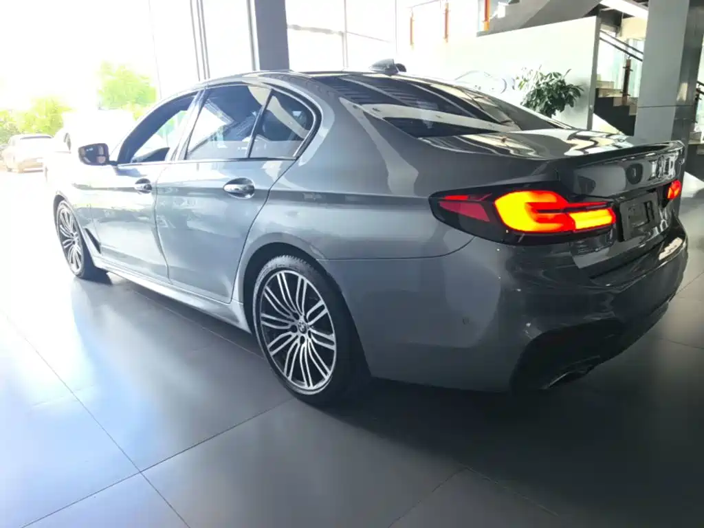 BMW 5 Series (Import) — миниатюра 5