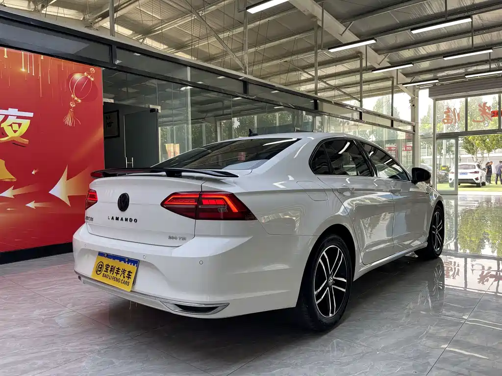 Volkswagen Lamando — миниатюра 10