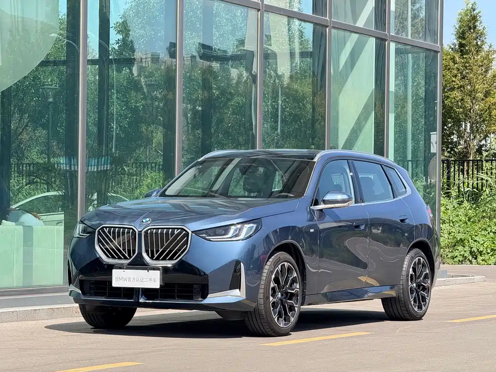 BMW X3 — миниатюра 19