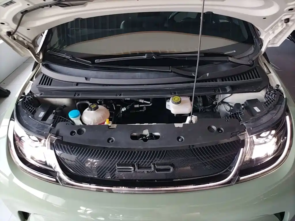 BYD Dolphin — миниатюра 20