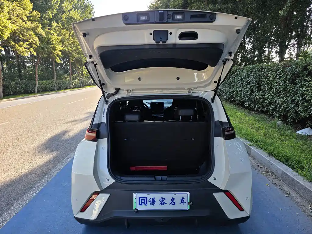 BYD Seagull — миниатюра 12