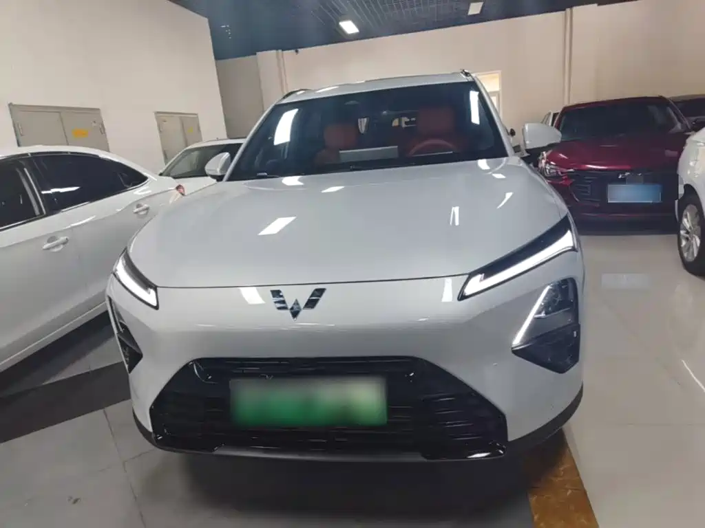 Wuling S 2025 130km Flagship