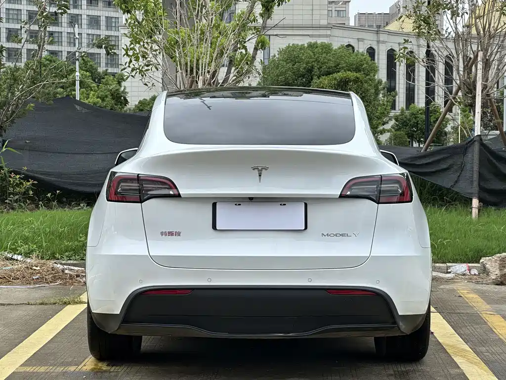 Tesla Model Y — миниатюра 15