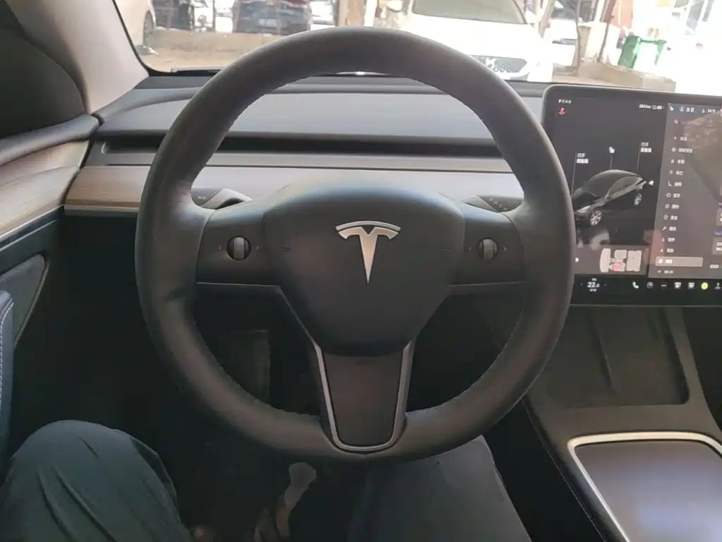 Tesla Model Y — миниатюра 11
