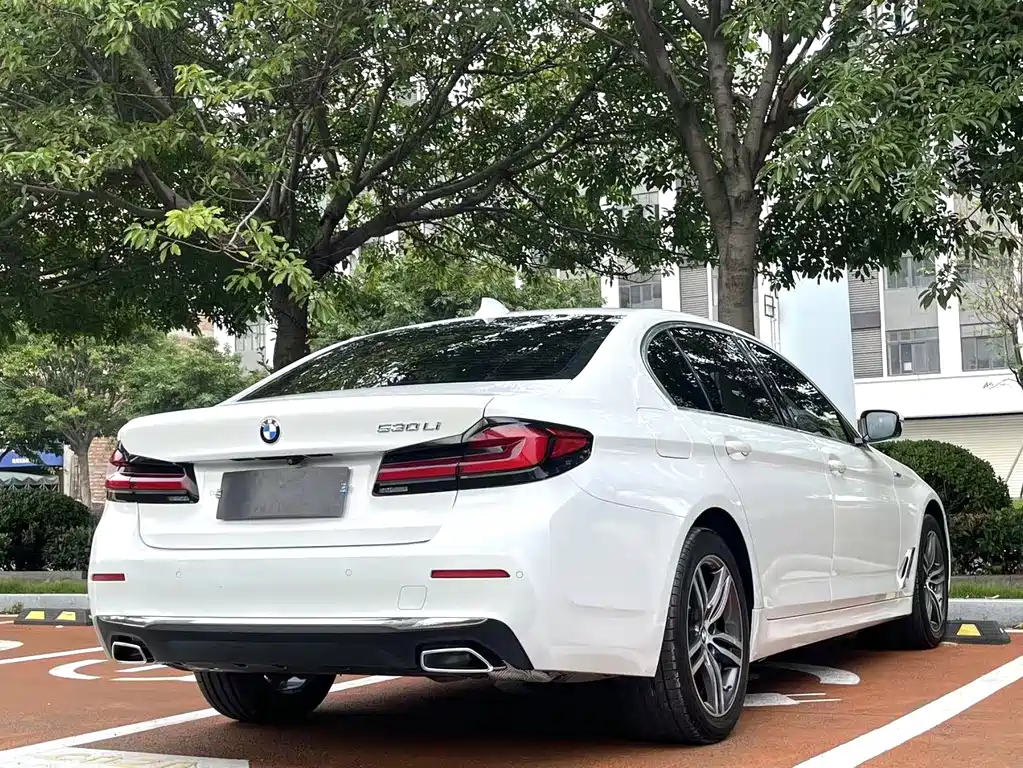 BMW 5 Series 5 2021 530Li Lead Luxury
