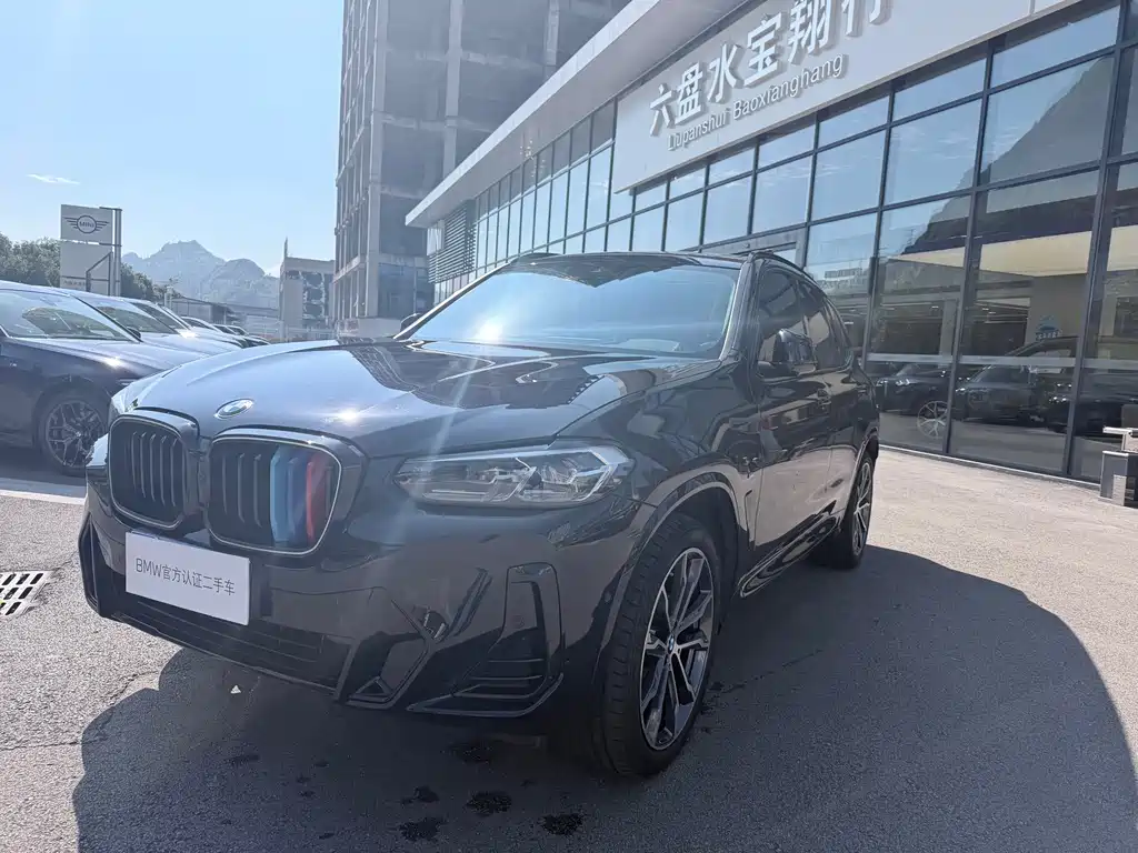 BMW X3 — миниатюра 2