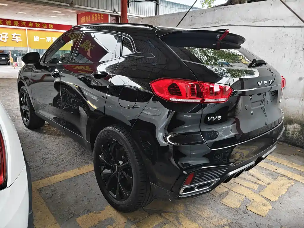 Wey Wey VV5 — миниатюра 9