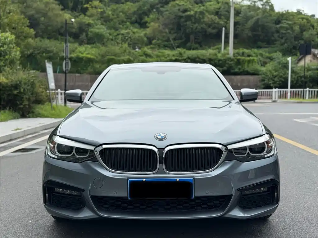 BMW 5 Series (Import) — миниатюра 2