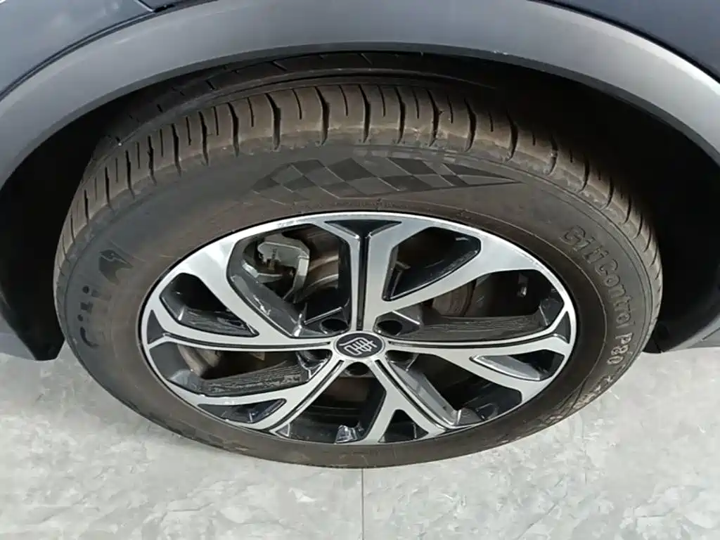 BYD Tang New Energy — миниатюра 23