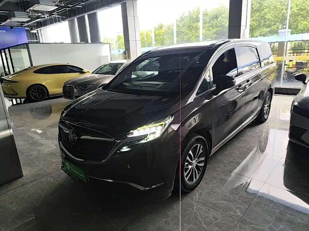 Buick GL8 — миниатюра 2