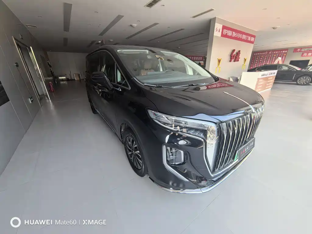 Hongqi Hongqi HQ9 — миниатюра 3