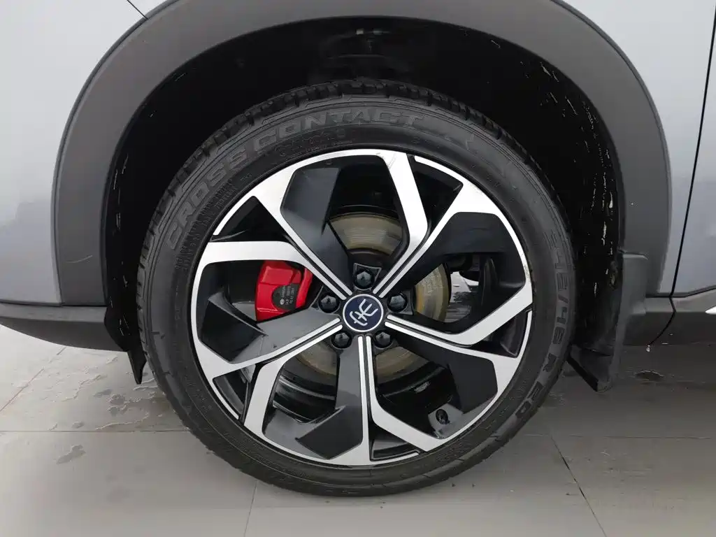 BYD PLUS — миниатюра 17