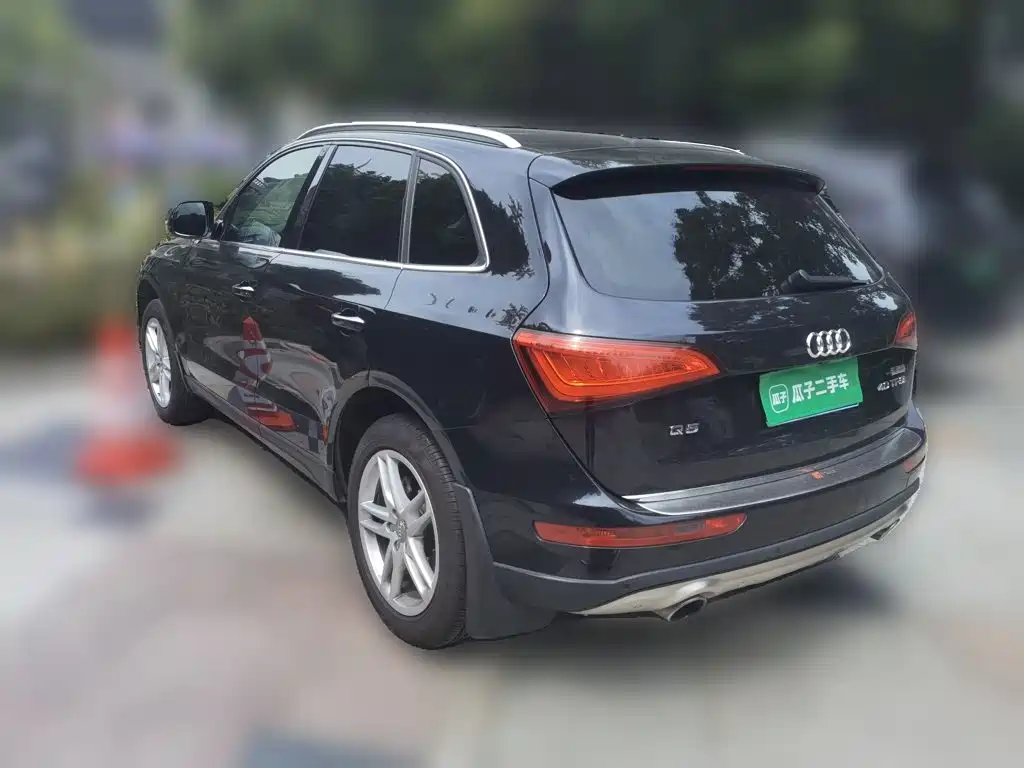 Audi Q5 — миниатюра 25