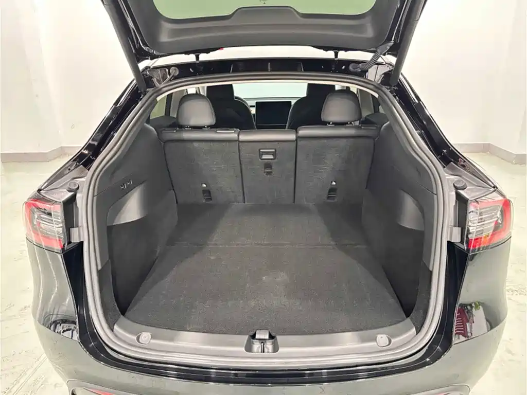 Tesla Model Y — миниатюра 14