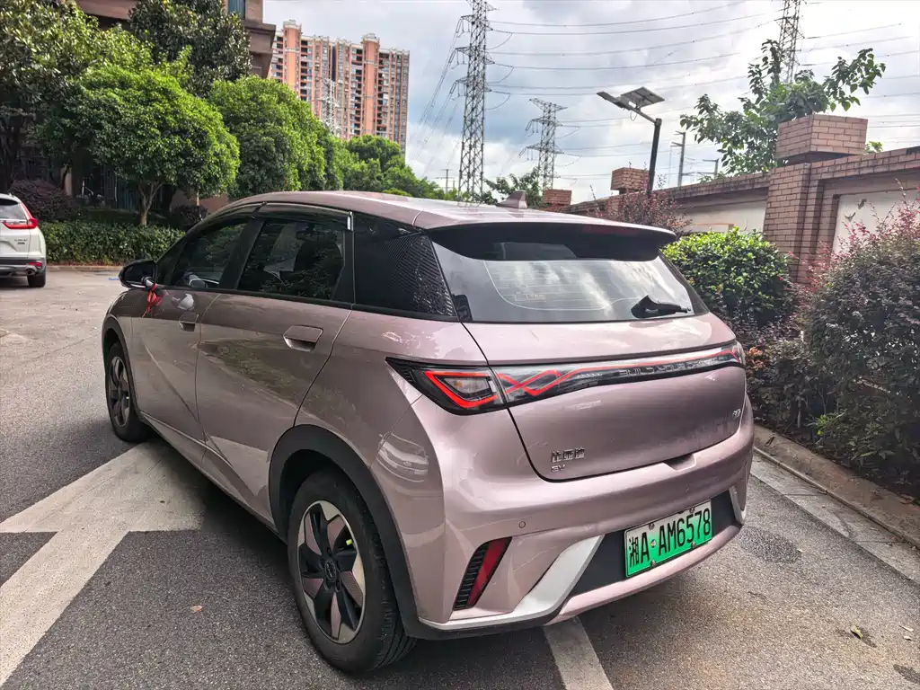 BYD Dolphin — миниатюра 9