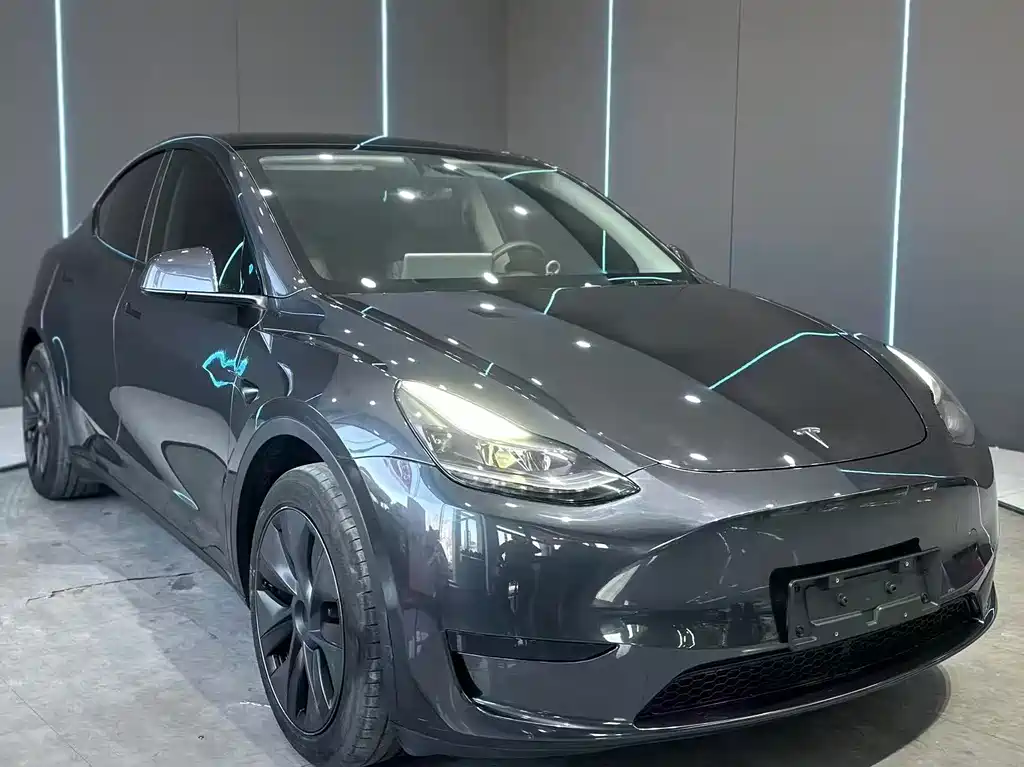 Tesla Model Y — миниатюра 3