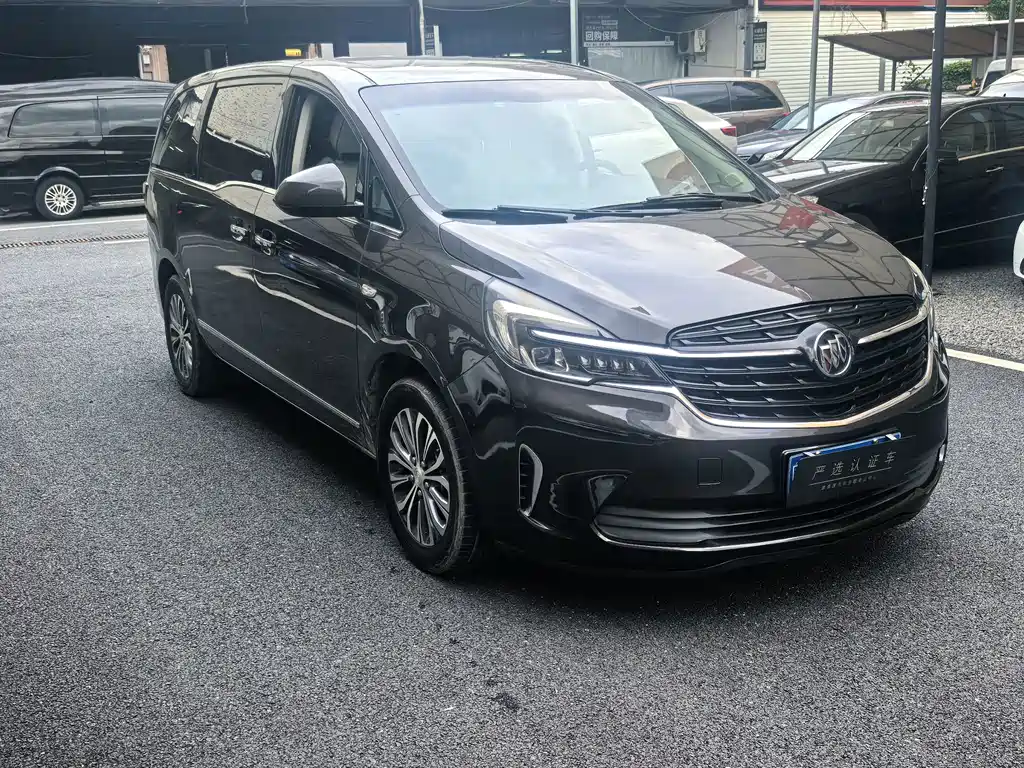 Buick GL8 — миниатюра 3