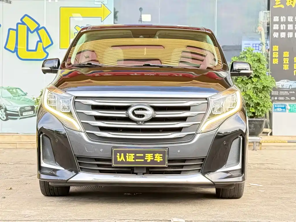 GAC Motor Trumpchi M8 — миниатюра 2