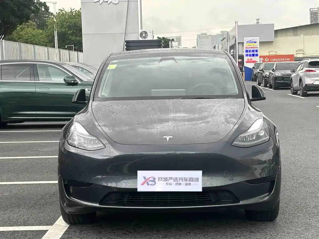 Tesla Model Y — миниатюра 2