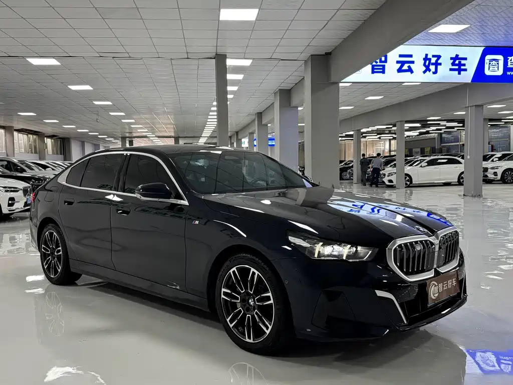 BMW 5 Series — миниатюра 3