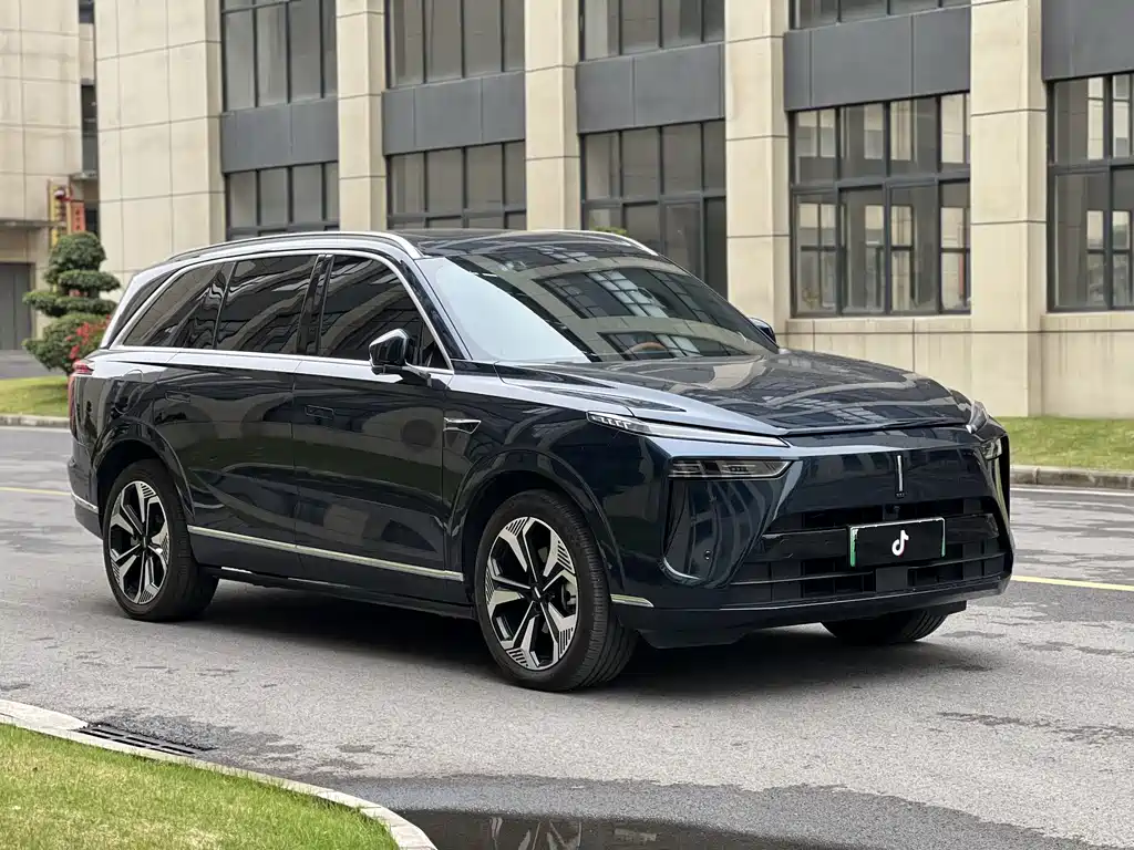 WEI PAI WEI BRAND BLUE MOUNTAIN