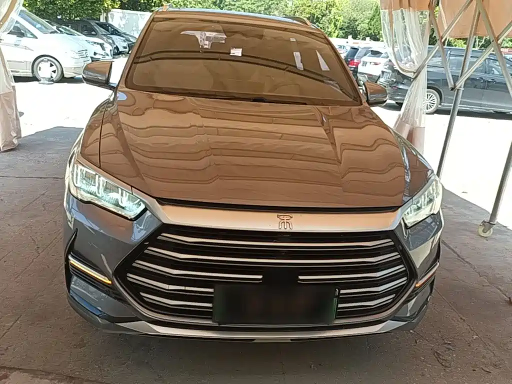 BYD Pro New Energy — миниатюра 3