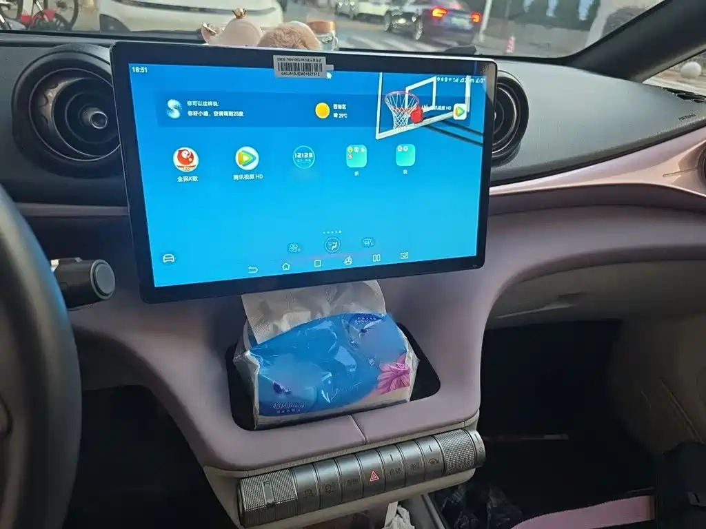 BYD Dolphin 2021 405km Fashion