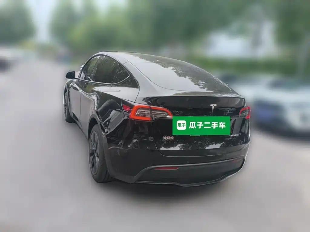Tesla Model Y — миниатюра 25