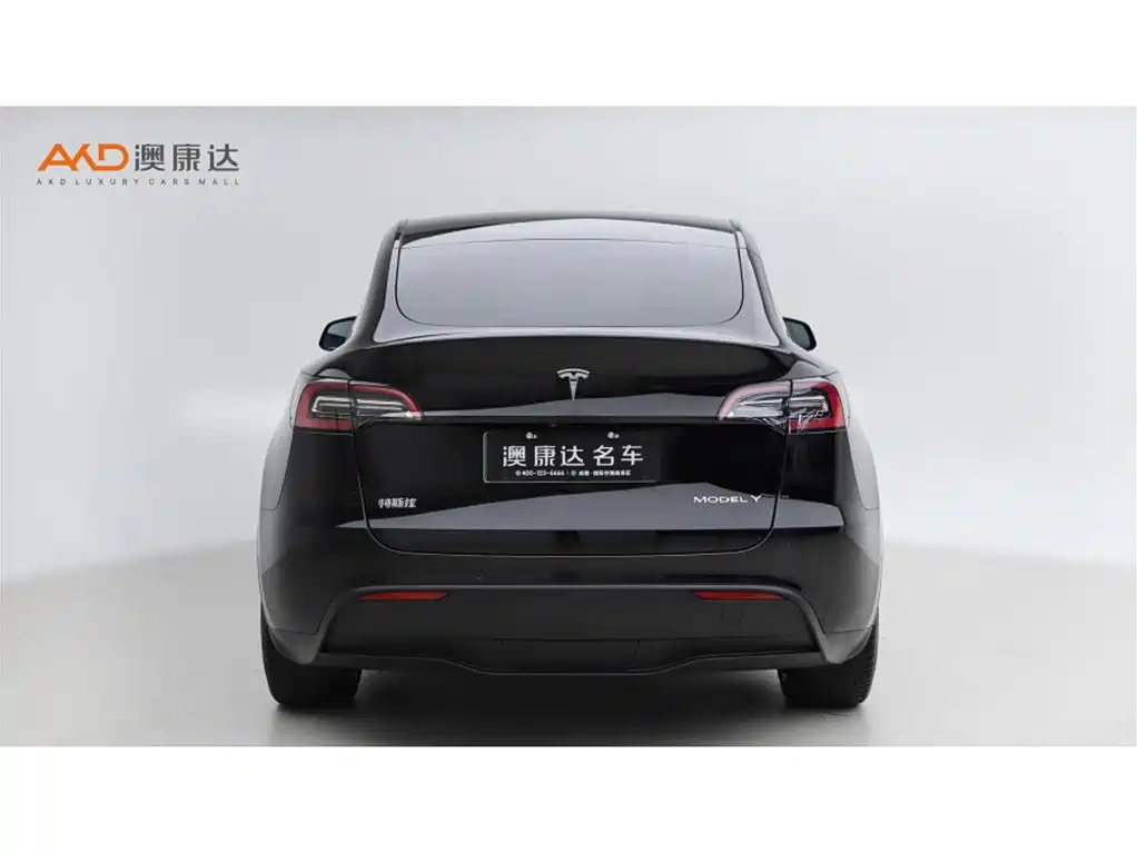 Tesla Model Y — миниатюра 4
