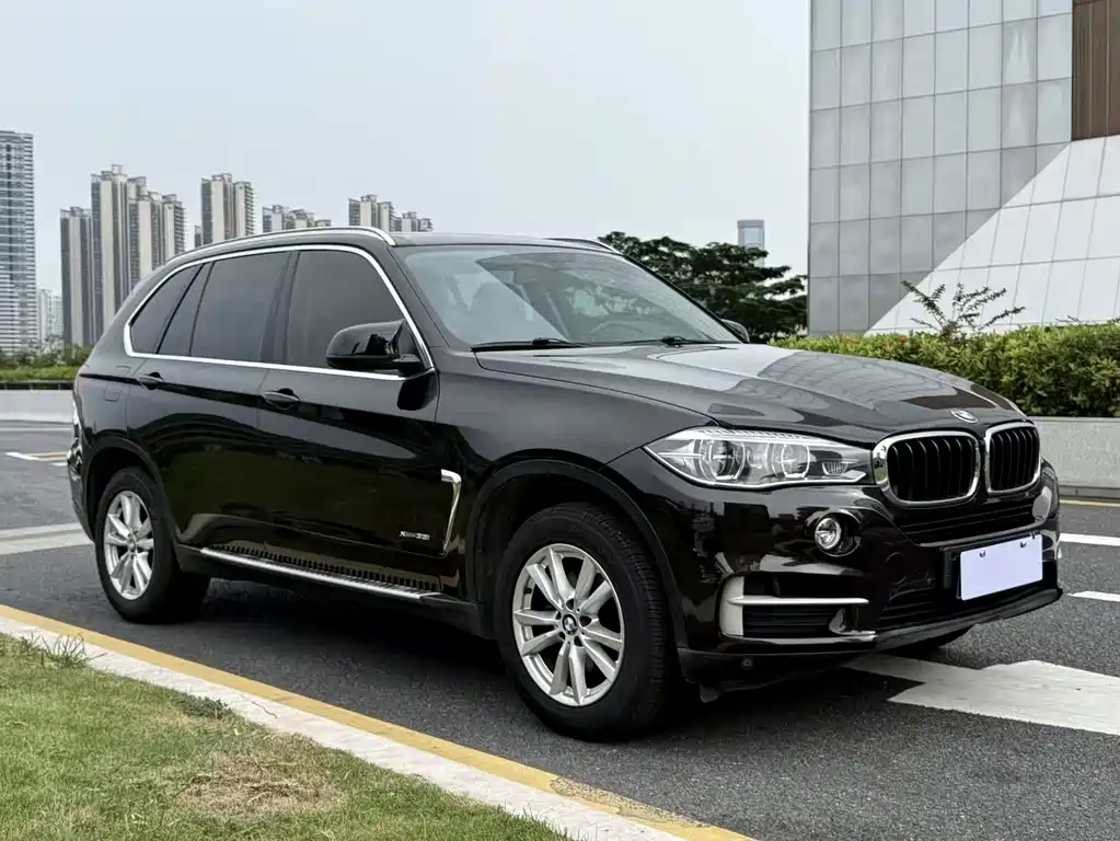 BMW X5 (Import) — миниатюра 5