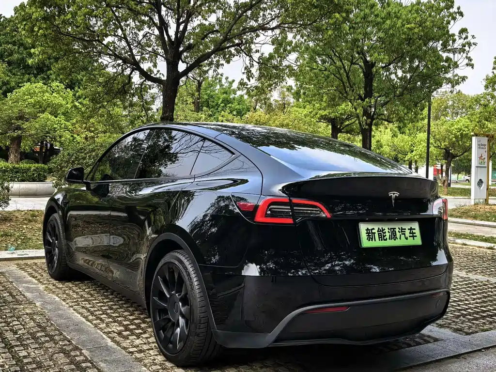Tesla Model Y — миниатюра 6