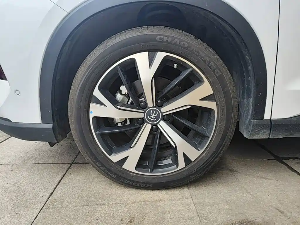 BYD Pro New Energy — миниатюра 23