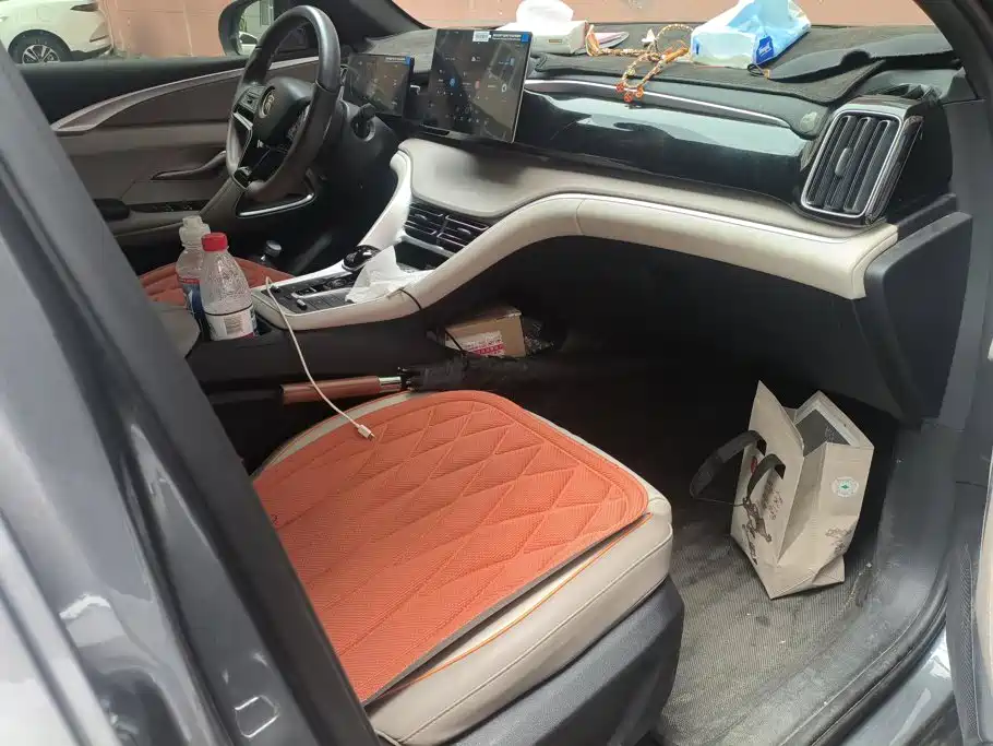 BYD Pro New Energy — миниатюра 8