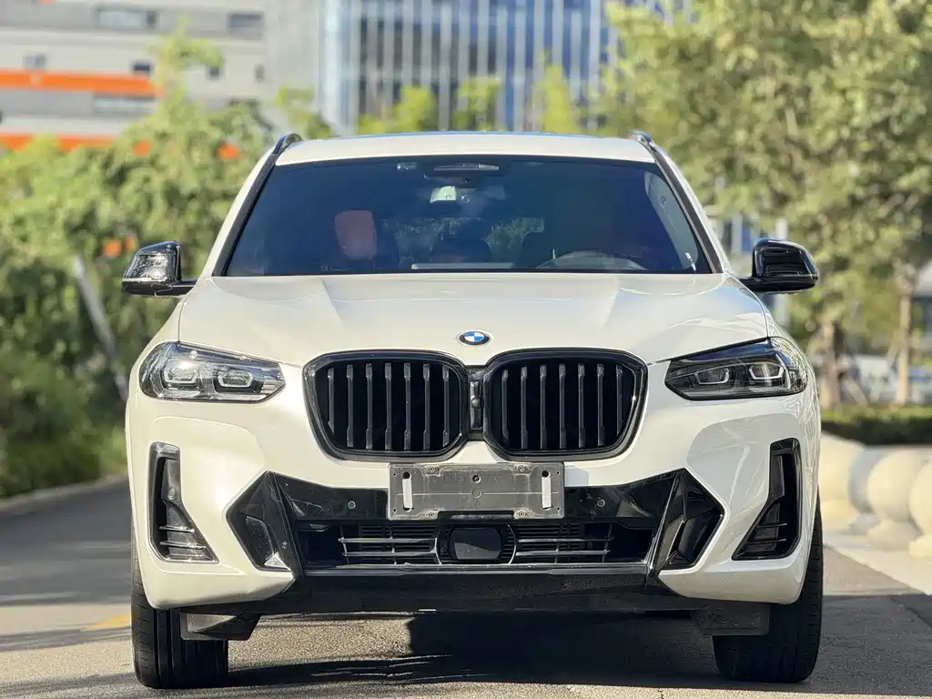 BMW X3 — миниатюра 2