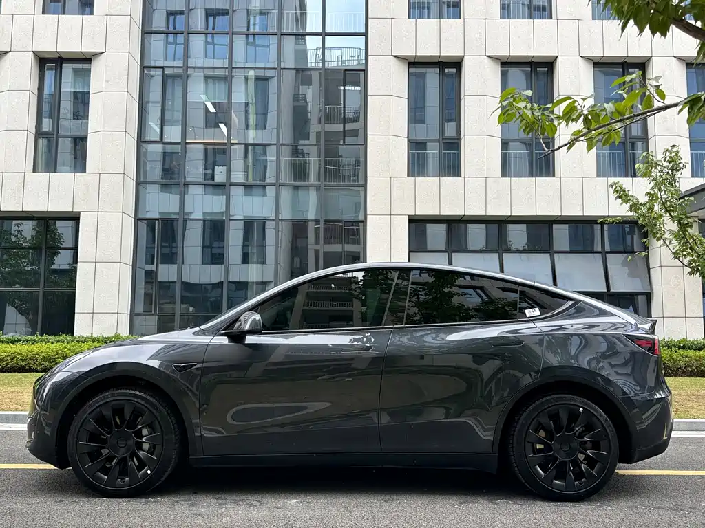 Tesla Model Y — миниатюра 22