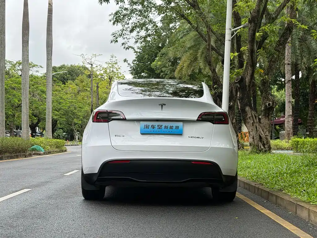 Tesla Model Y — миниатюра 5