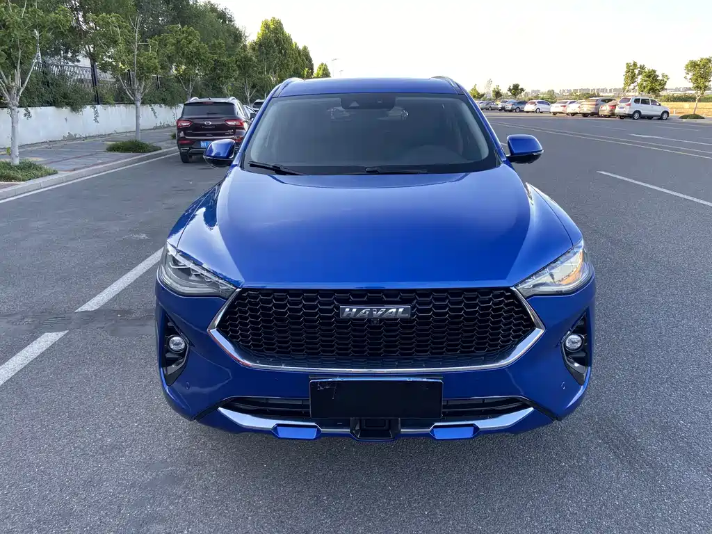 Haval F7 2019 2.0T i VI