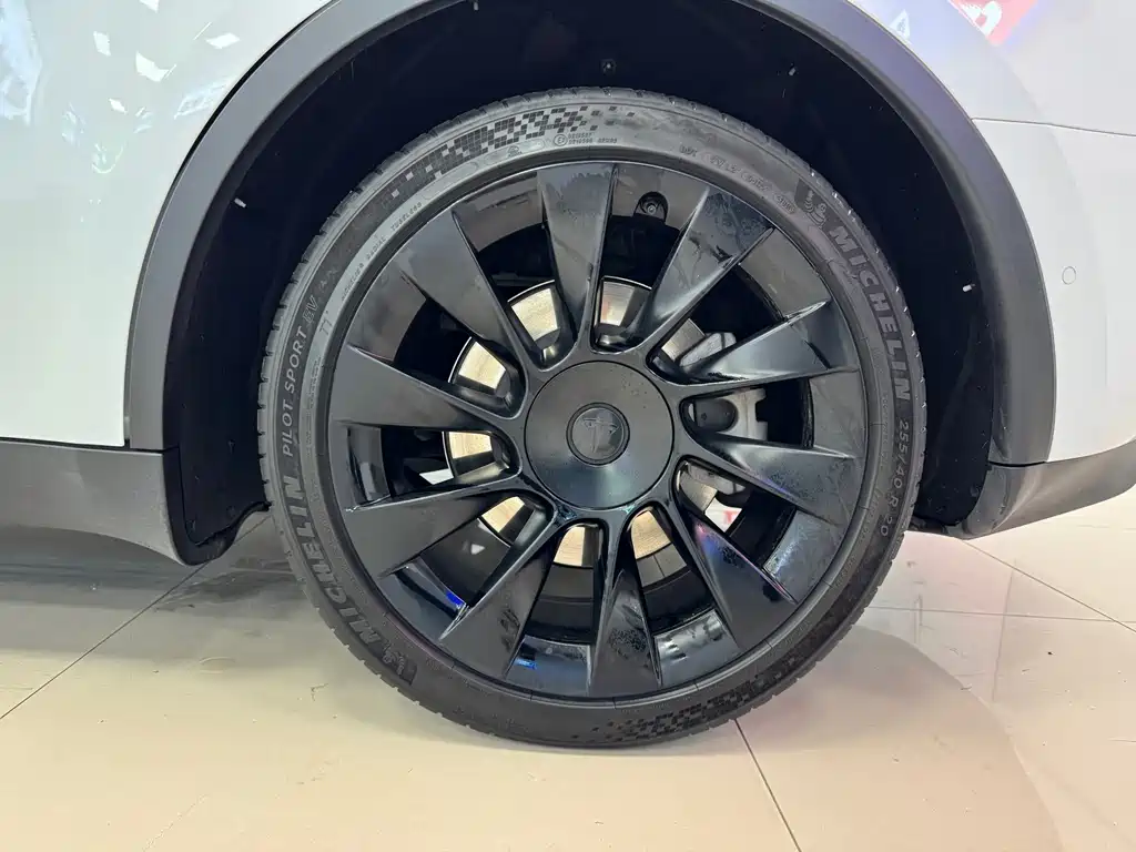 Tesla Model Y — миниатюра 11