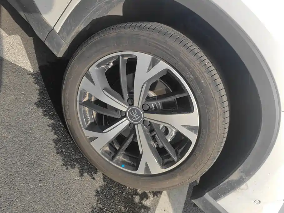 BYD Pro New Energy — миниатюра 6